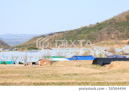 Peaceful rural spring landscape Peaceful rural spring landscape 50564494