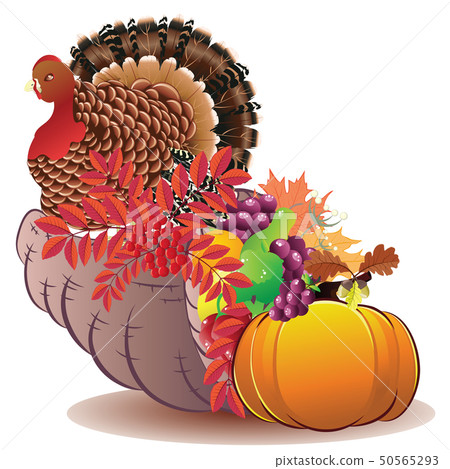 Cornucopia with Turkey bird Cornucopia with Turkey bird 50565293