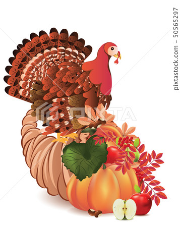 Cornucopia with Turkey bird Cornucopia with Turkey bird 50565297
