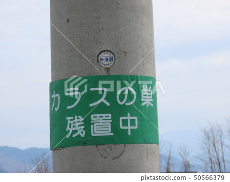 烏鴉的巢落在了後面 烏鴉的巢落在了後面 50566379