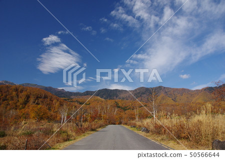 秋天的Norikura Kogen 50566644