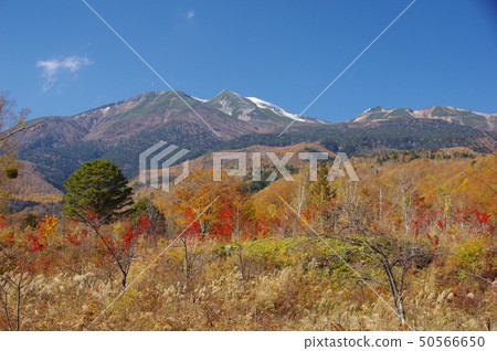 秋天的Norikura Kogen 秋天的Norikura Kogen 50566650