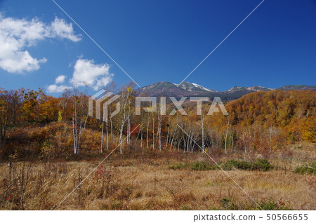 秋天的Norikura Kogen 秋天的Norikura Kogen 50566655