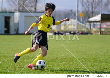 Football football 50566694