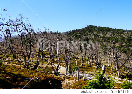 Omine Mountains From Mt. Ulsan to Mt. 50567316