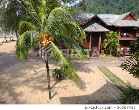 At the beach on a remote island in Malaysia, the southern island 50567438