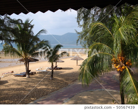 At the beach on a remote island in Malaysia, the southern island 50567439