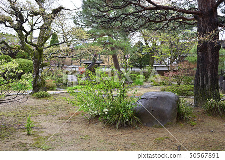 Takayama Jinya in the rain 50567891