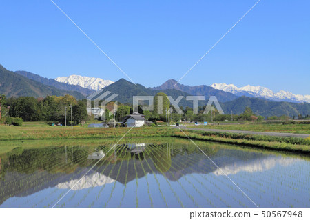 Azumino Matsukawa May 50567948