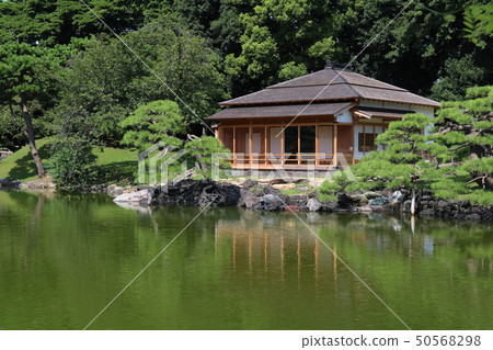東京濱海花園 50568298