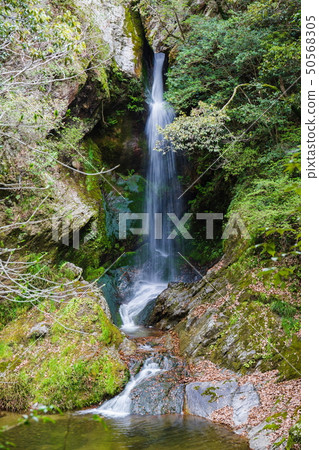 彩虹瀑布（香川縣三重町） 50568305