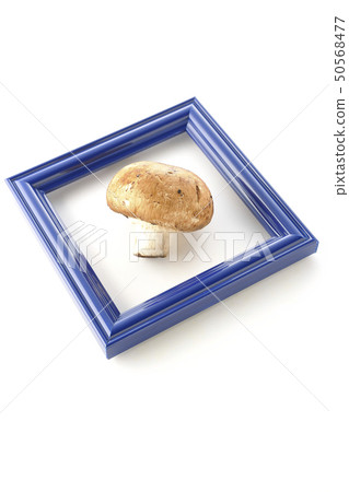 蘑菇和額頭 50568477