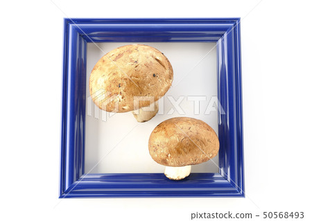 Mushroom and forehead Mushroom and forehead 50568493