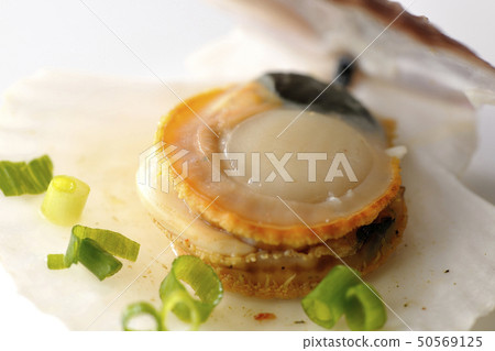 Scallop Scallop 50569125