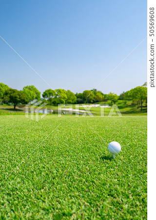 高爾夫球場上開球前的高爾夫球 50569608