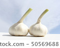 大蒜 50569688