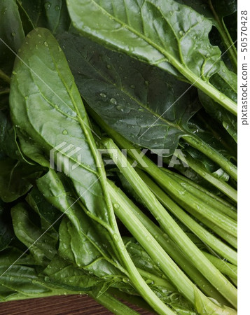 來自韓國的新鮮有機菠菜 來自韓國的新鮮有機菠菜 50570428