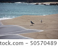 Takeokan Beach, Toyooka City, Hyogo Pref. Taken in early September when there is transparency and many tourists visit 50570489