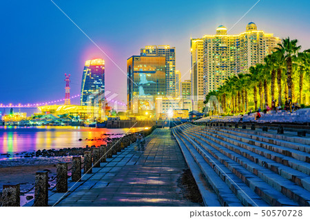 Xiamen Bay Park night view Xiamen Bay Park night view 50570728