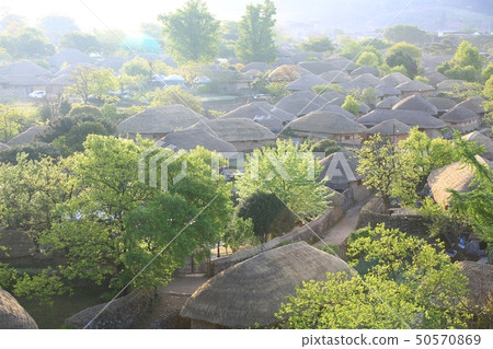 Hometown scenery! Spring morning scenery! , Nakan-eup Sung Hometown scenery! Spring morning scenery! , Nakan-eup Sung 50570869