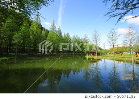 美麗的方式！你想走的路！元路 50571182