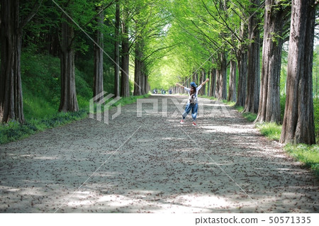 春天華爾茲!美麗的方式! 春天華爾茲!美麗的方式! 50571335