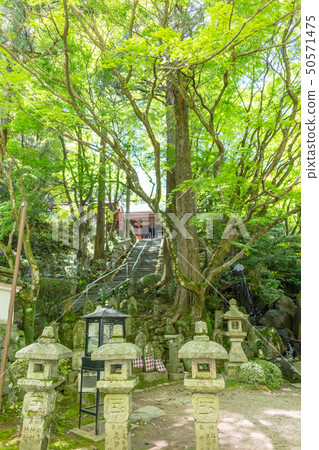 鮮綠色的雷山淺草寺神殿_ 626福岡縣絲島市雷山 50571475