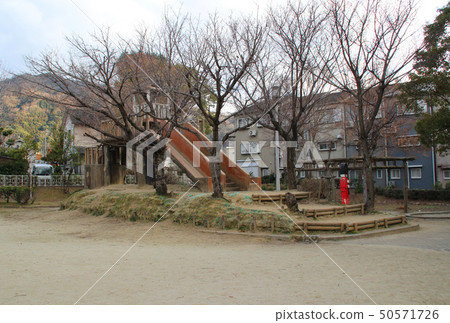 大阪縣四條市的川崎池公園/南1號 50571726