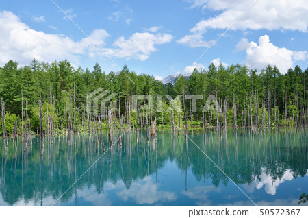 Blue pond reflected by clouds and sky (Hokkaido, Mikasa) Blue pond reflected by clouds and sky (Hokkaido, Mikasa) 50572367
