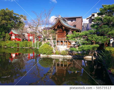 Pond in Shinsen garden 50573517