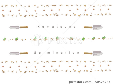Komatsuna的萌芽例證02 50573783