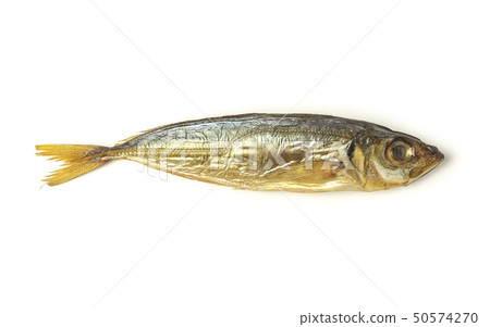Smoked scad 50574270