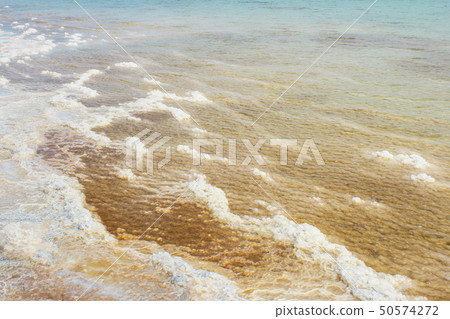 Shore of the Dead Sea Shore of the Dead Sea 50574272