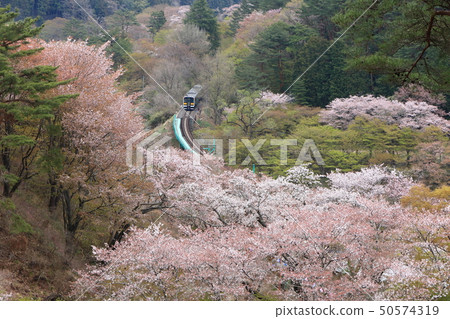 Mizugori Line "Arrow Scenery at Mid-April" 50574319
