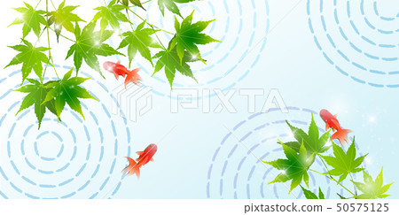夏天問候金魚槭樹背景 夏天問候金魚槭樹背景 50575125