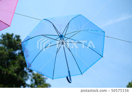 Umbrella 50575156
