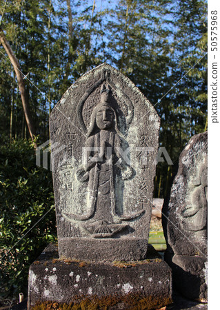 Horseback statue and bamboo forest 50575968