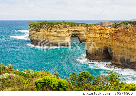Mutton Bird Island - Port Campbell Mutton Bird Island - Port Campbell 50576860