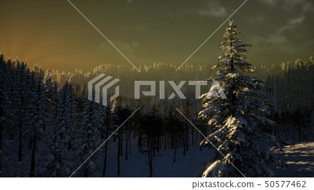 Fog and Snow on Mountain Fog and Snow on Mountain 50577462