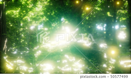 Firefly Flying in the Forest 50577499
