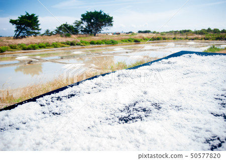 Saline with water Saline with water 50577820