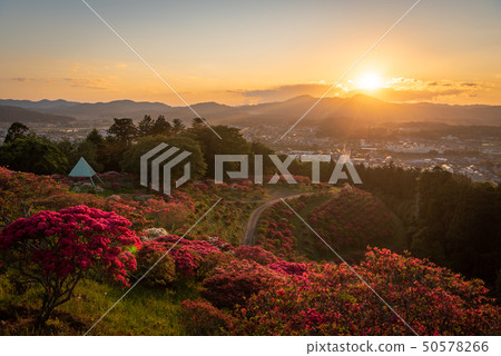 Sunset at Kasama Azalea Park 50578266