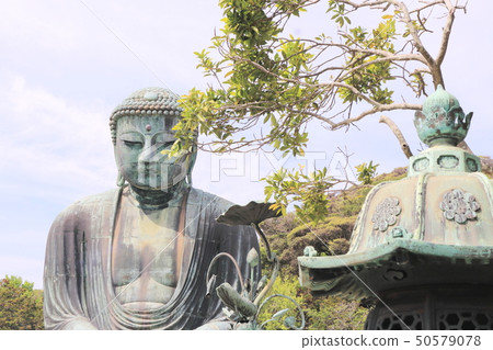鎌倉大佛 50579078