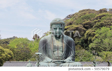 鎌倉大佛 50579079