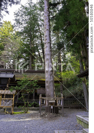 Suwa-gun, Suwa-gun, Nagano Prefecture. 50580846