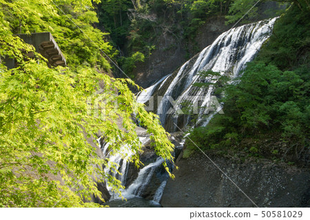 Fukuroda waterfall of fresh green 50581029