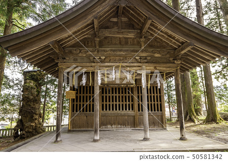 長野縣Su訪郡Su訪郡Kamisha Hongu Shrine（Komagataya） 50581342