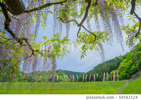 Shiroi Omachi Fuji Park Shiroi Omachi Fuji Park 50581524