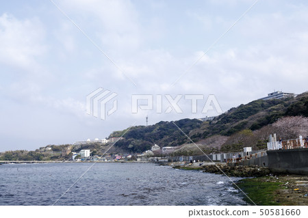 馬博里海岸(春天) 馬博里海岸(春天) 50581660