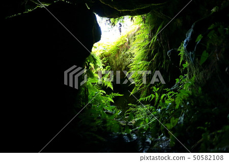 Marriage, festival, folk culture, 50582108